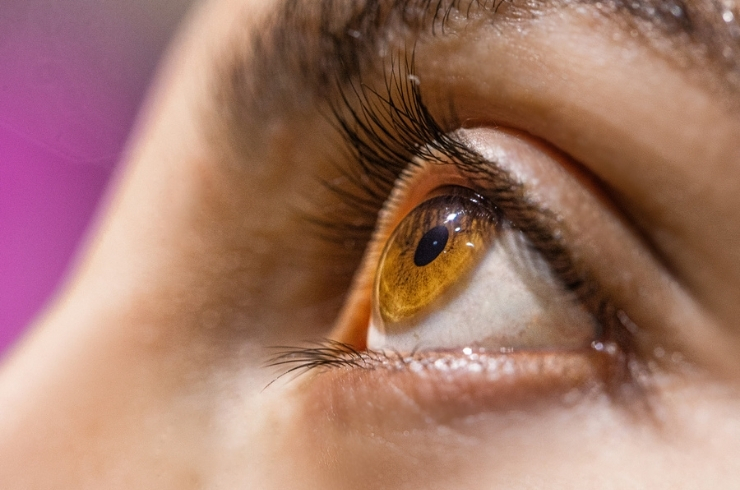 retina